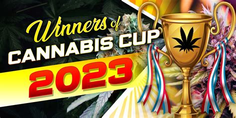 Winners of Cannabis Cup 2023 | SunWest Genetics