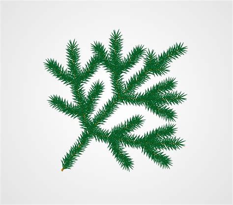 Pine Tree Branch Vector at Vectorified.com | Collection of Pine Tree Branch Vector free for ...