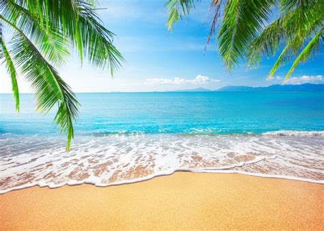 Blue Sky White Clouds Palm Trees Coconut Tree Beach Hawaiian Backdrop ...