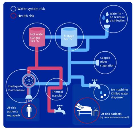 Legionella – a proactive approach to prevention - FM Media