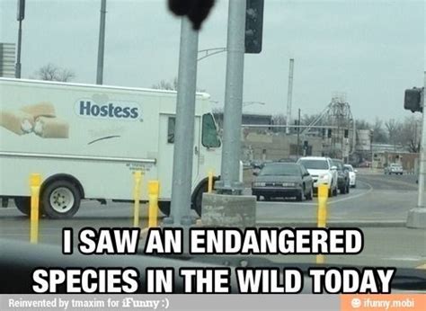 Endangered species huh? | Funny photos, Funny memes, Funny pictures