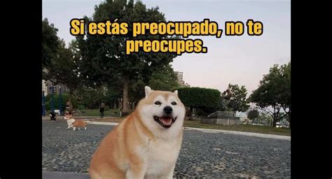 Los mejores memes para celebrar el Día Mundial del Perro | Facebook ...