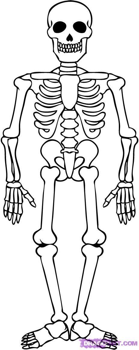 skeletons | How to Draw a Skeleton, Step by Step, Halloween, Seasonal, FREE Online ...