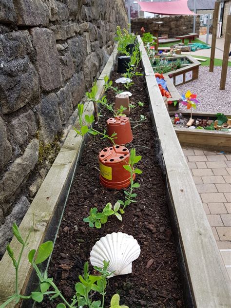 more new plants in the early years outdoor classroom garden - Gisburn Road Barnoldswick Primary ...