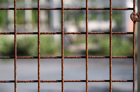 Rusty Wire Fence Free Stock Photo - Public Domain Pictures