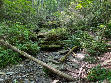 Grandfather Mountain State Park - The Sociable Adventurer