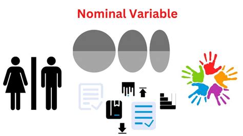 Nominal Variable - Definition, Purpose and Examples