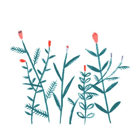 warm-positivity:[a gif of digitally drawn flowers blooming] - Tumblr Pics