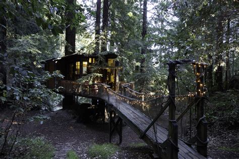 Escape From SF: The Redwood Treehouse - 7x7 Bay Area