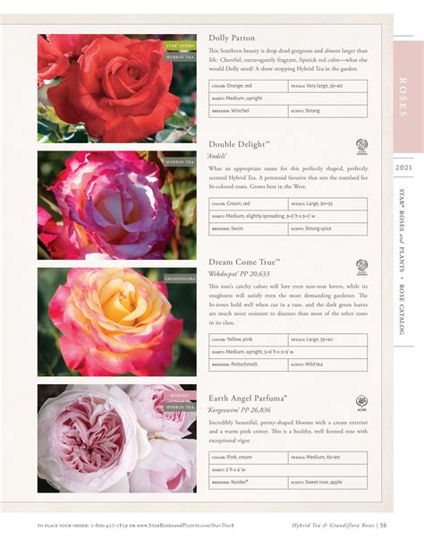 2021 Star® Roses and Plants Rose Catalog by Star® Roses and Plants - Issuu