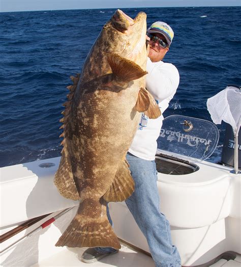 Reef Fishing in Key West Florida with Delph Fishing Charters