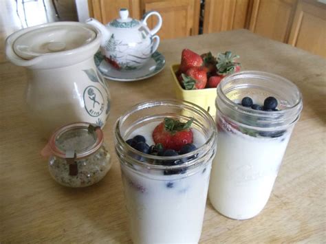 How to Make Kefir | Kefir how to make, Kefir recipes, Kefir culture