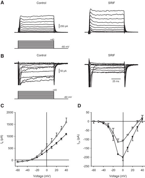 Effects of nonselective sst stimulation, using somatostatin ...