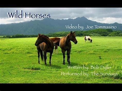 "Wild horses" Performed by "The Sundays" - YouTube