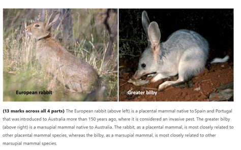 [Solved] . European rabbit Greater bilby (13 marks across all 4 parts ...