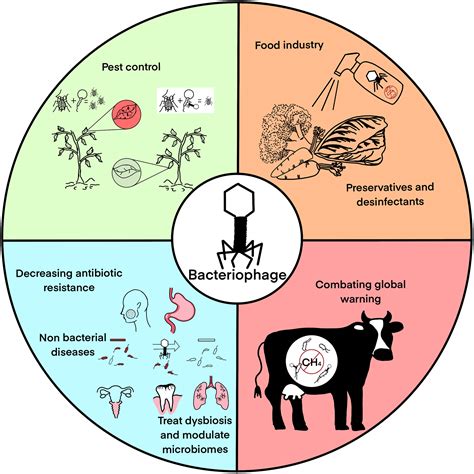 Myriad applications of bacteriophages beyond phage therapy [PeerJ]