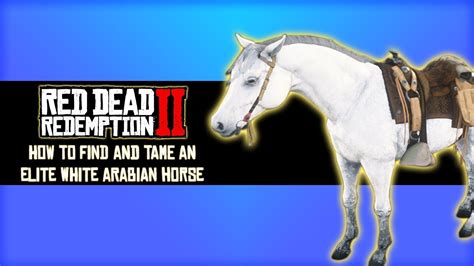 Best Saddle Rdr2 Online - Quotes Update Viral