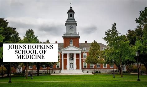 Summer Internship at Johns Hopkins School of Medicine - 2022 2023 Big ...