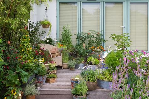 A Cottage Garden in Pots