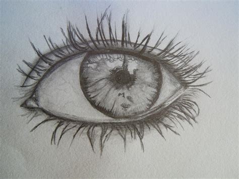 Gallery For > Human Eye Drawing