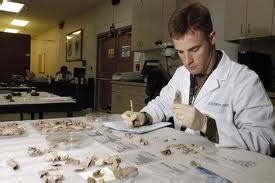 Odontologist and Forensics: Forensic Odontology