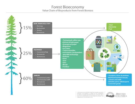 Forest Bioeconomy in B.C. - Province of British Columbia