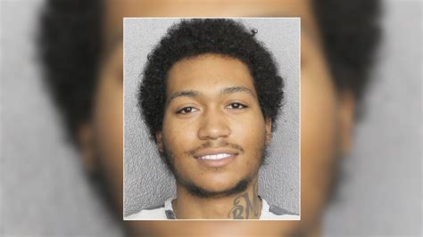 ‘BMF’ Star Demetrius ‘Lil Meech’ Flenory Jr. Arrested With Gun at Fort ...