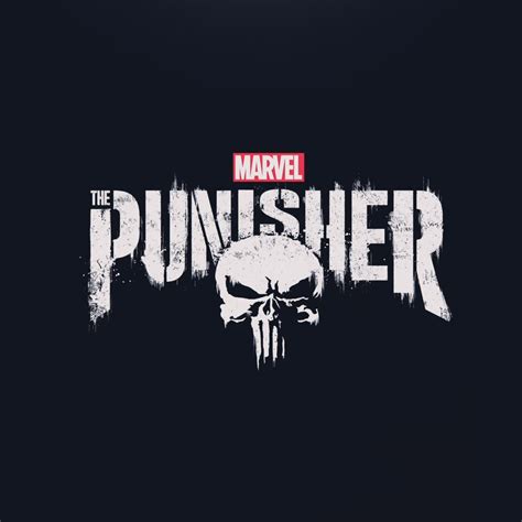 2048x2048 The Punisher 2017 HD Logo Ipad Air HD 4k Wallpapers, Images ...