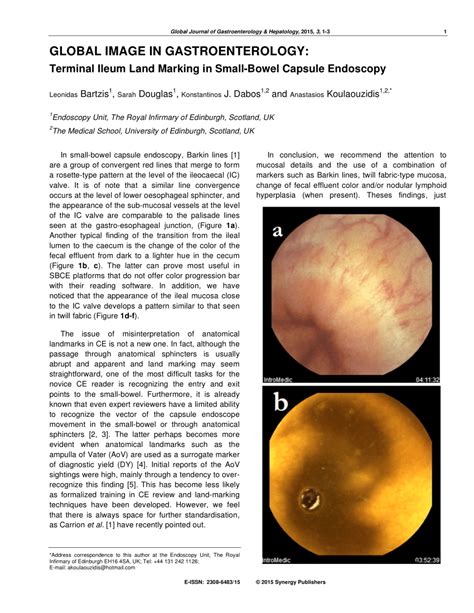 (PDF) Terminal Ileum Land Marking in Small-Bowel Capsule Endoscopy.