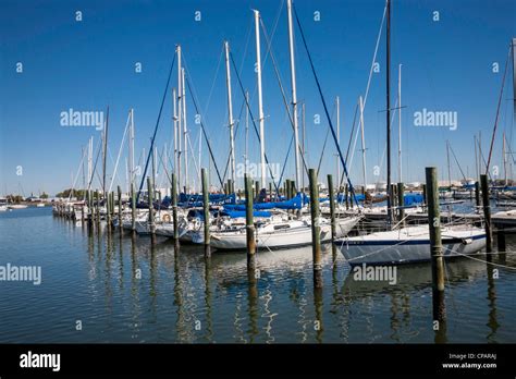 Davis island Yacht Club, Tampa Florida Stock Photo - Alamy