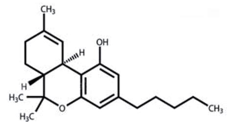 Chemical Makeup Of Thc | Saubhaya Makeup