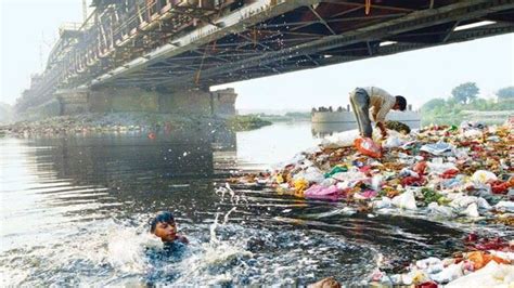 Yamuna polluted beyond control: Even its treated water can kill you - Mail Today News