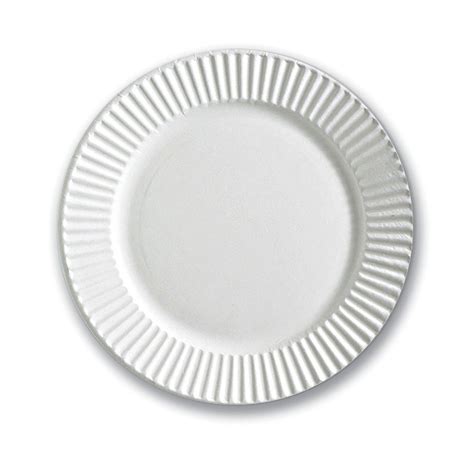 9 Inch Plain Paper Plate at best price in Coimbatore | ID: 2850840124133