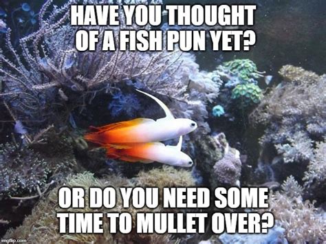 Funny fish puns, memes, and fishing one-liners – Nano Reef Adviser