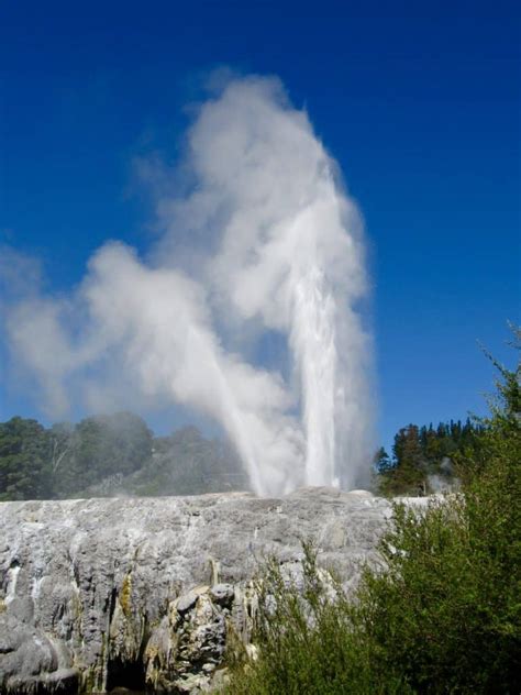 Te Puia, Rotorua, New Zealand - So Much More Than Just a Geyser! - Christina's Cucina