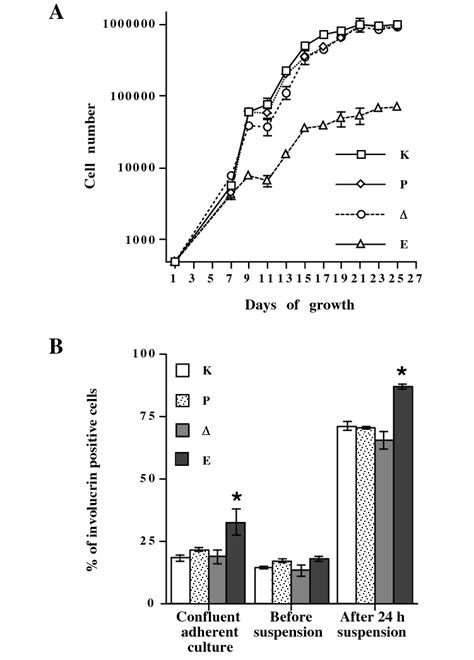 Keratinocyte growth and differentiation. (A) 500 cells were plated per... | Download Scientific ...