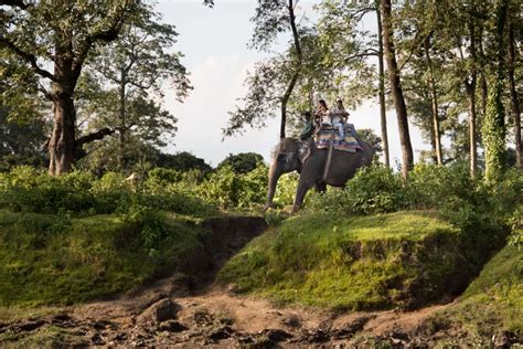 Narayangarh, Nepal | The Gateway to Chitwan National Park - Holidify