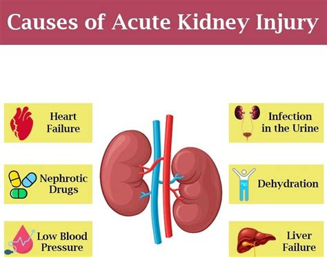 Does Kidney Infection Cause Blood In Urine - HealthyKidneyClub.com