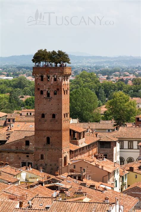 Torre Guinigi Lucca - Guinigi Tower in Lucca Tuscany, Italy