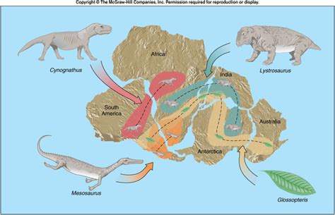 Hypothesis of Continental Drift- Theory of Plate Tectonics timeline ...