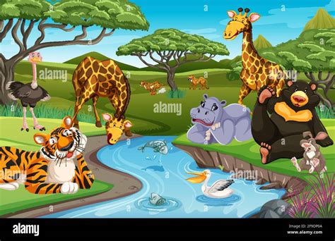 Wild animals in the jungle illustration Stock Vector Image & Art - Alamy