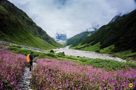 Valley Of Flowers India Map - United States Map