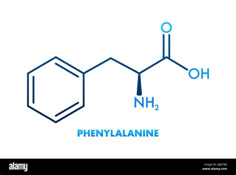 PHENYLALANINE formula. PHENYLALANINE molecular structure. Vector illustration Stock Vector Image ...