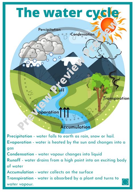 Accumulation Water Cycle