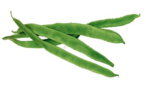 Green Bean PNG Free File Download - PNG Play