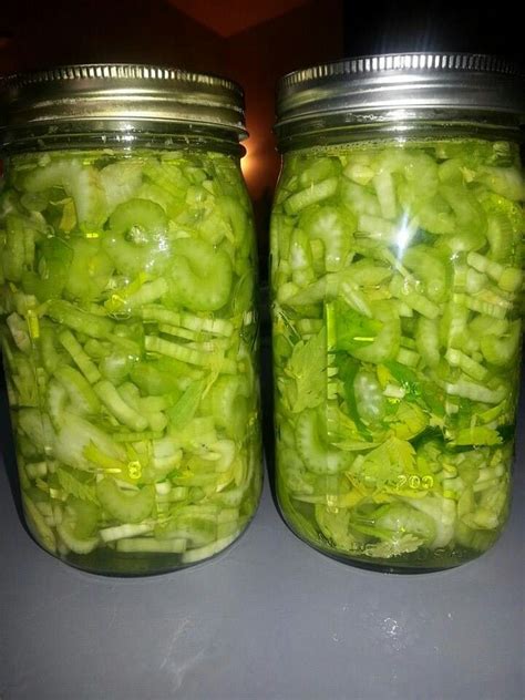 Canned.celery | Canning recipes, Canned food storage, Canning