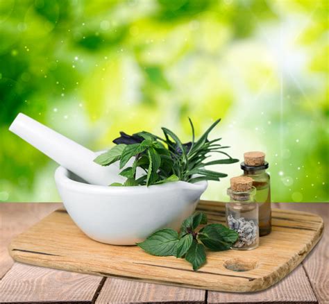 5 Healing Herbs and Their Benefits - Naturally Healthy News