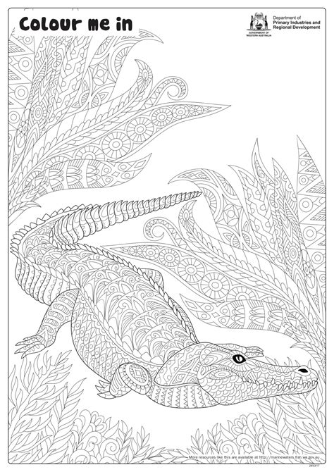 Fishy Fun Sheet: Crocodile - Colour In • Department of Primary ...