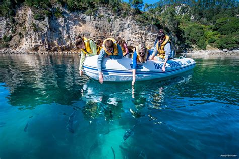 Cathedral Cove boat tour, Coromandel, New Zealand guided tour