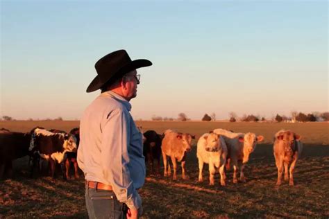 Feathers on Cowboy Hats: 3 Reasons Behind It - From The Guest Room